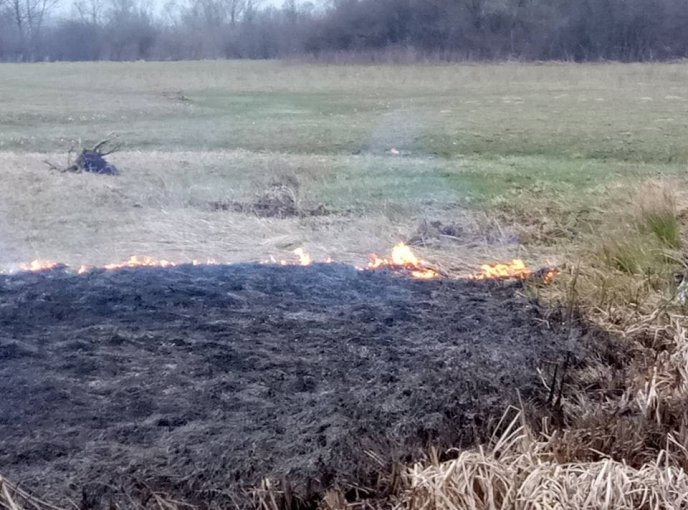 На Закарпатті згоріла Долина нарцисів – 01