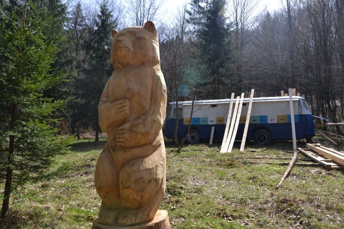 На околиці Колочави зі старого автобуса ЛАЗ зробили гігантський вулик – 06