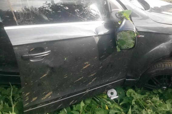 Водій "Шкоди" не постраждав, керманич "Ауді" – у реанімації, – поліція про ДТП в селі Іванівці – 05