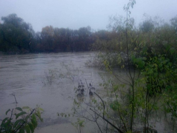 "Для жителів Радванки ця ситуація не дуже добра": Мирослав Горват про велику воду – 01 "Для жителів Радванки ця ситуація не дуже добра": Мирослав Горват про велику воду – 01