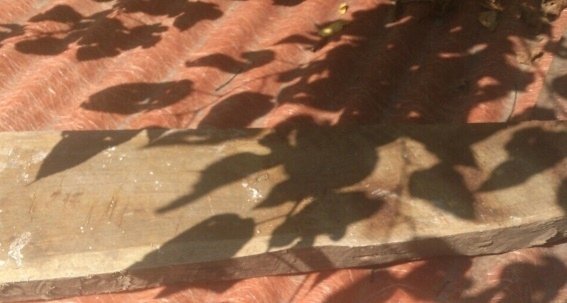 На Іршавщині 44-річний неврівноважений чоловік забив свою матір до смерті – 03