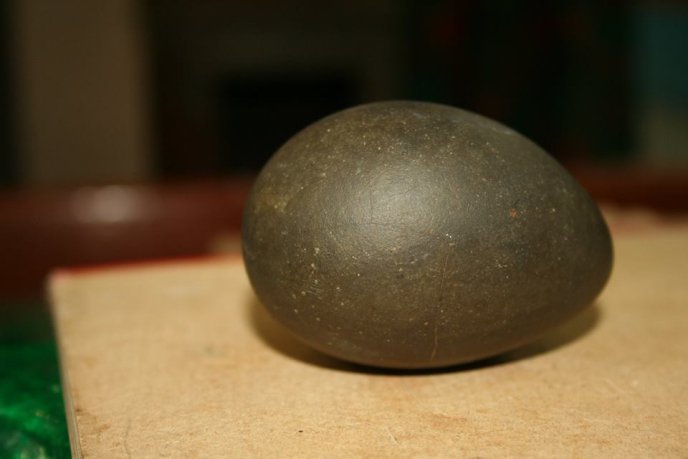 На Іршавщині діти знайшли давнє "кам’яне" яйце, яке передадуть в місцевий історичний музей – 04 На Іршавщині діти знайшли давнє "кам’яне" яйце, яке передадуть в місцевий історичний музей – 04