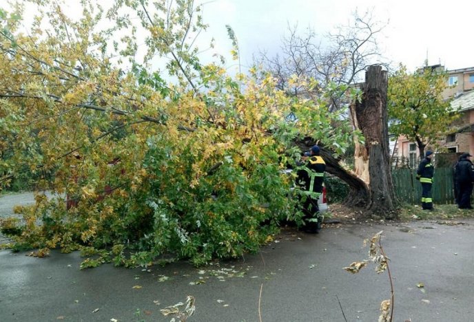 В Ужгороді дерево впало на автомобіль – 04