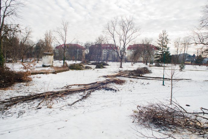 Мукачівці шоковані вирубкою парку "Перемоги" у місті (ФОТО) – 04