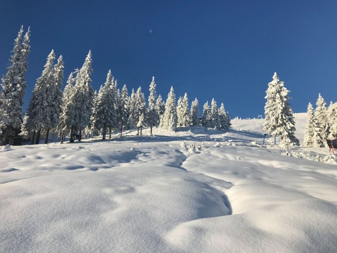 Мережу підкорюють фото засніженого Драгобрата – 04