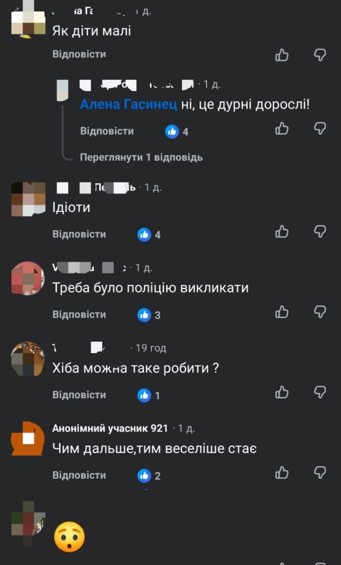 Дописувачі соцмережі Facebook обурюються поведінкою квадроциклістів