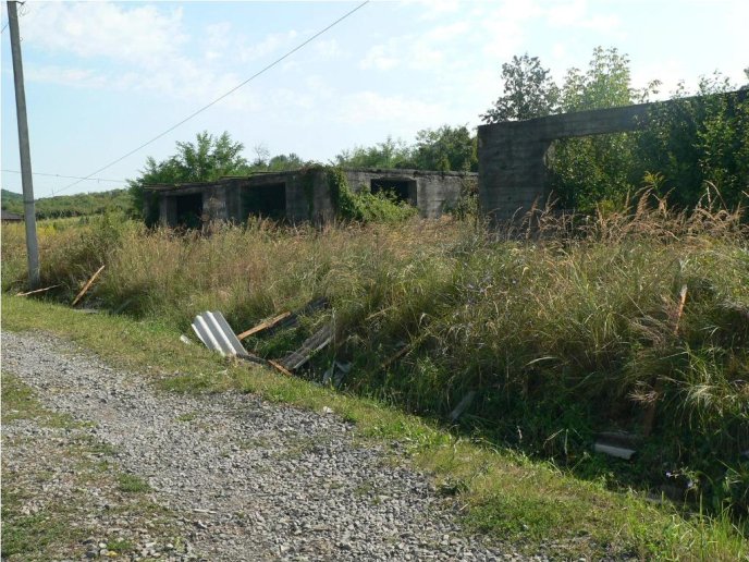 Одним із сіл Мукачівського району пронеслась страшна негода: фото наслідків – 08