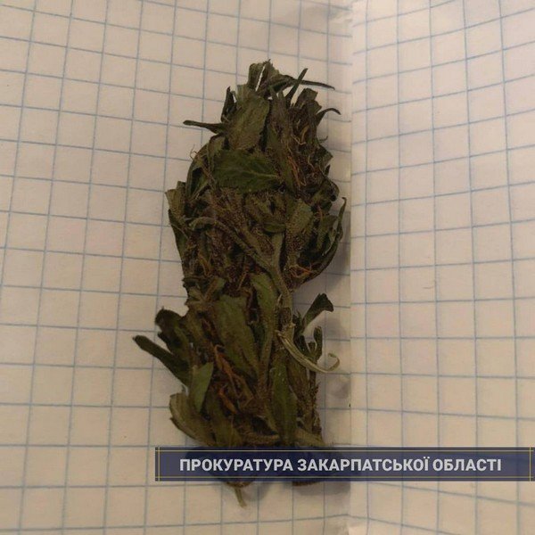 На Закарпатті викрито небезпечне злочинне угруповання, одним із учасників якого є депутат – 05