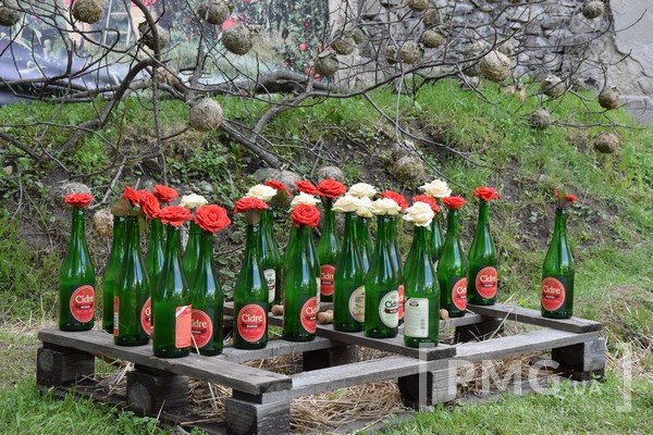 У Чинадієві відбувся фестиваль квітів "Кохання в Сент-Міклоші" – 63