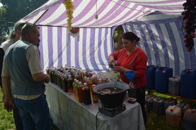 Фестиваль "Угочанська лоза": як закарпатці та гості краю на святі гуляли – 21