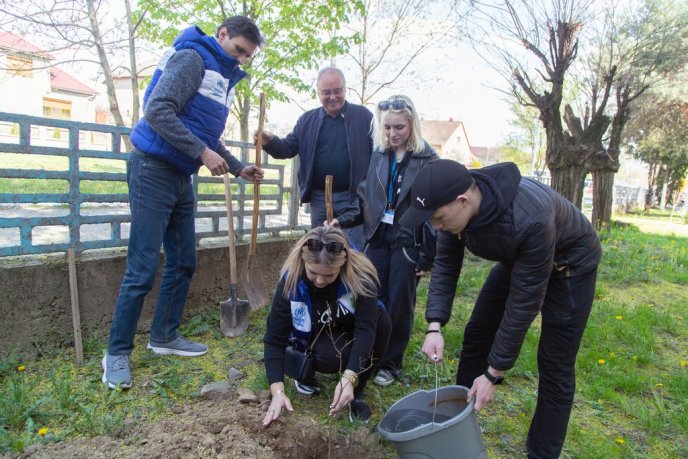 Фондом "Регіон Карпат NEEKA" висаджено понад 250 дерев – 09 Фондом "Регіон Карпат NEEKA" висаджено понад 250 дерев – 09