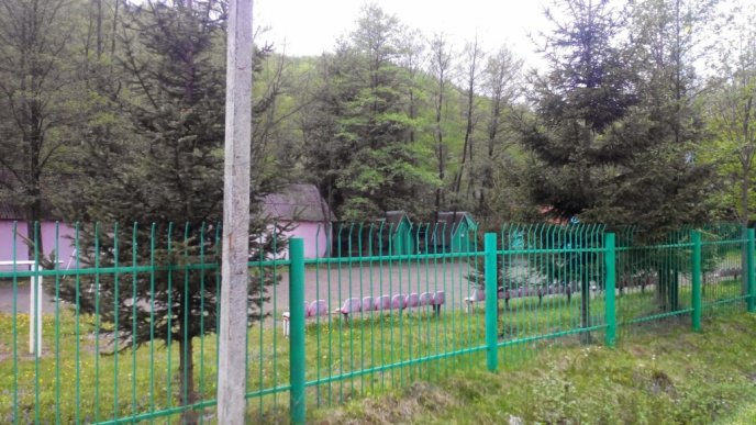 Ліквідація дитячої оздоровниці "Мрія" у Лісарні стараннями мукачівських депутатів: помилкове рішення чи необхідність? – 10