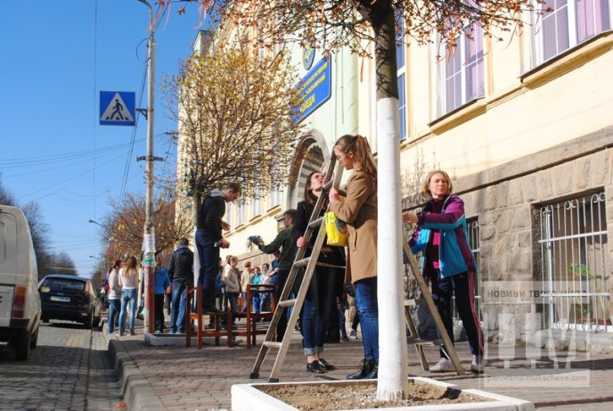У Мукачеві студенти прикрашають дерева писанками та патріотичними стрічками (ФОТО) – 14