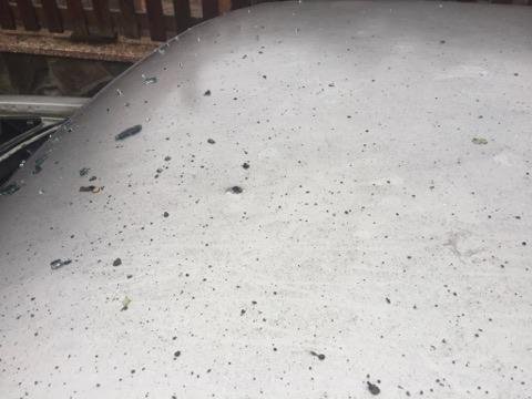 Вночі на Закарпатті депутату підірвали автомобіль, – ЗМІ – 05