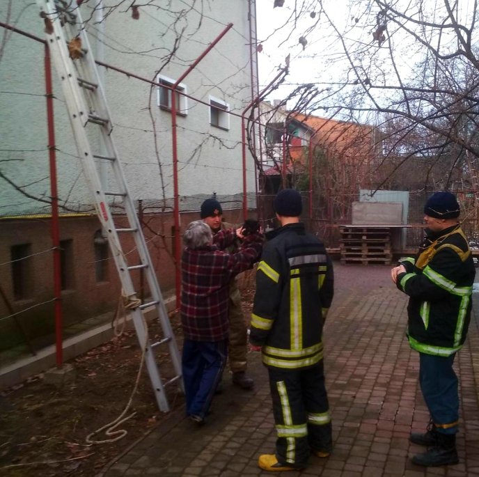 Як рятувальники коту допомагали – 01