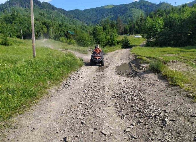 На Закарпатті 17-річного хлопця вкусила змія – 01
