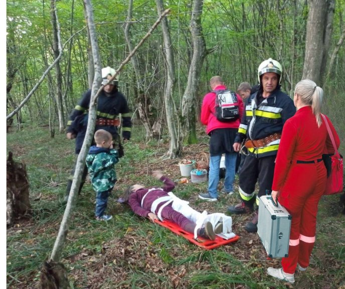 Похід по гриби ледь не закінчився трагедією: що трапилось – 01 Жінка пішла по гриби впала зі схилу