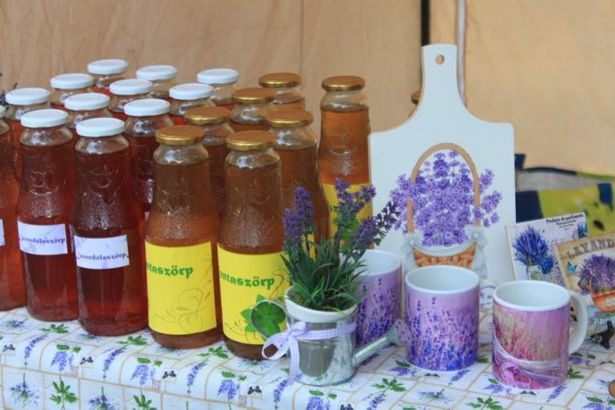 Танці, музика, їжа; в Ужгороді проходить "Hungary Fest" – 12 Танці, музика, їжа; в Ужгороді проходить "Hungary Fest" – 12