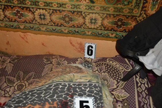 На Великоберезнянщині розлючений нетверезий онук забив свою рідну бабусю до смерті – 04