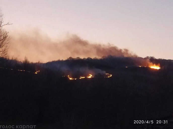 На Іршавщині вирує масштабна пожежа – 06