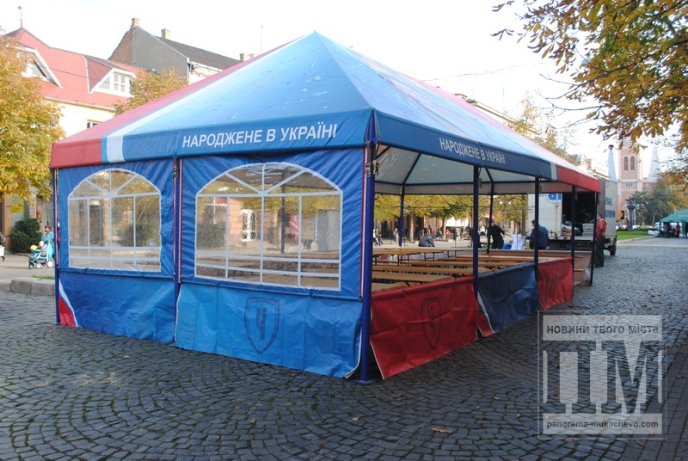 Від проведення Дня Святого Мартина мукачівська казна не збагатіє (ФОТО) – 04