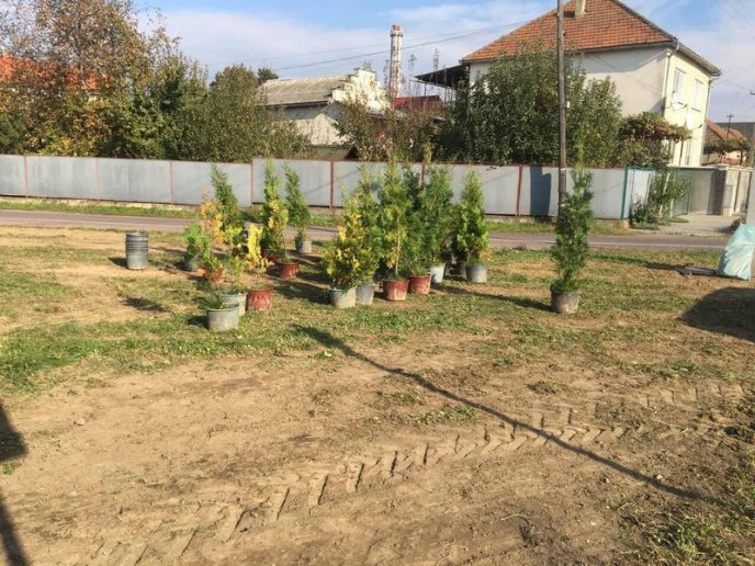 На одному з перехресть Мукачева провели благоустрій зеленої зони – 01