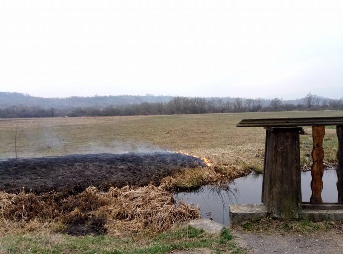 На Закарпатті згоріла Долина нарцисів – 03