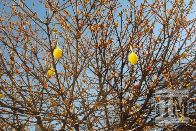 У Мукачеві студенти прикрашають дерева писанками та патріотичними стрічками (ФОТО) – 08