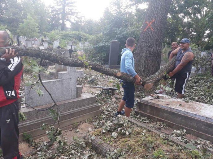 У Мукачеві взялися впорядковувати територію кладовища – 09