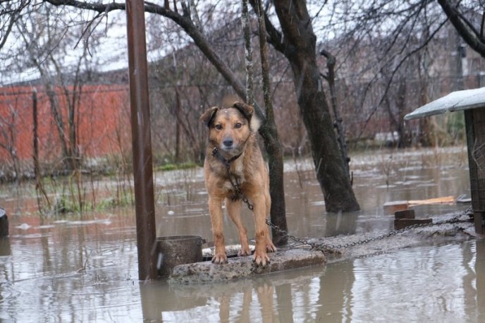На Закарпатті сильні дощі спричинили підтоплення: ВІДЕО  – 03