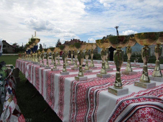В селищі Чинадієво стартувала Всеукраїнська виставка собак усіх порід "Munkachi – 2016" – 19