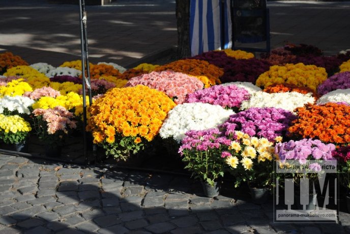 В центрі Мукачева відкрилась ярмарка вінків (ФОТО) – 01 В центрі Мукачева відкрилась ярмарка вінків (ФОТО) – 01