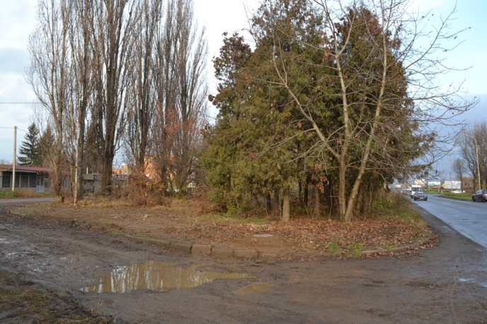 В Ужгороді на один сквер стало менше. Практично всі дерева вирізали – 04