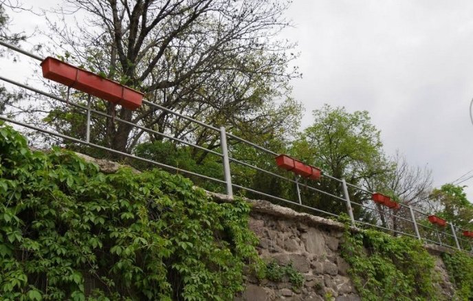 Ужгород заквітчали: посадили кілька сотень квітів – 02