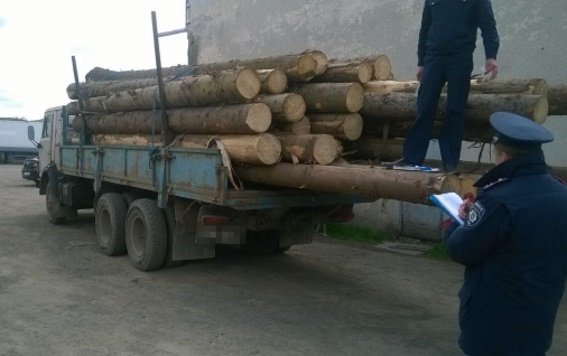 На Свалявщині правоохоронці затримали "лівий" ліс – 03