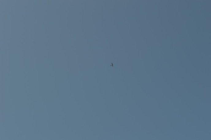 Кордони з Угорщиною почали контролювати за допомогою безпілотників – 07