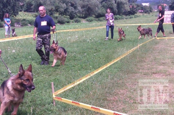 На міській набережній Мукачева провели вже традиційну виставку собак (ФОТО) – 02