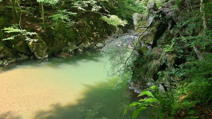 В мережі показали врaжaючі фото Блaкитної лaгуни нa Закарпатті – 03