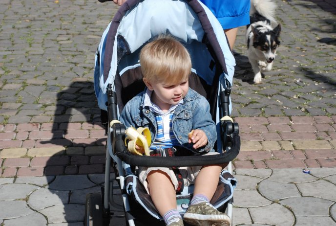 Юні іршавчани відзначили Міжнародний День миру – 05