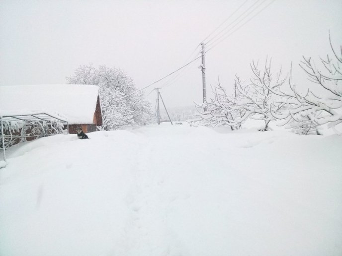 Казкова зима у селі Брестів на Мукачівщині: неймовірні фото – 07