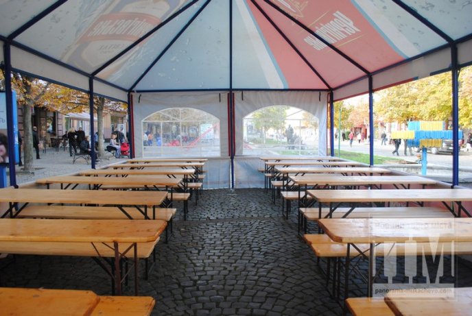 Від проведення Дня Святого Мартина мукачівська казна не збагатіє (ФОТО) – 05