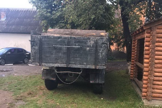 Закарпатець нелегально перевозив деревину – 02