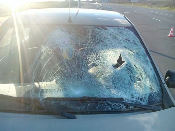 Під Ужгородом водій на пішохідному переході збив дівчину, потерпіла у реанімації – 04