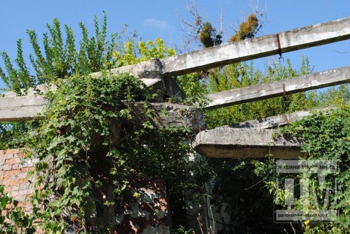 Маленька Прип’ять по сусідству зі школою та багатоквартирним масивом (ФОТО) – 25