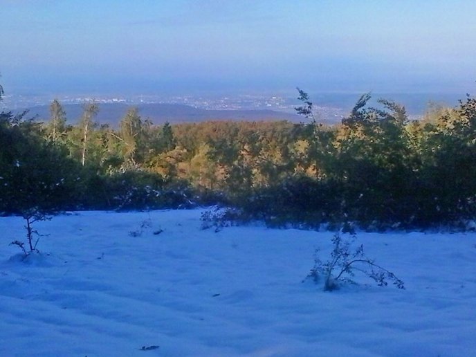 Неподалік Ужгорода випав перший сніг – 04
