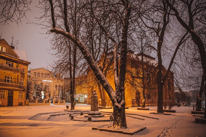 Неймовірна краса: у мережі опубліковано ранкові фото засніженого Ужгорода – 05