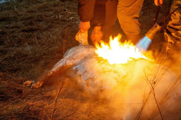 Колоритний фестиваль Гентешів у селі Геча: як це було – 10