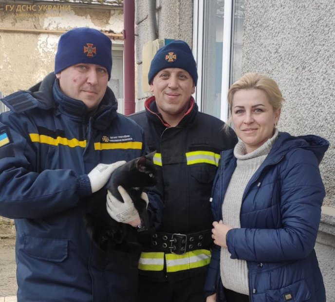 В Ужгороді рятувальники зняли з дерева кота, який просидів там 2 дні і не міг злізти – 01