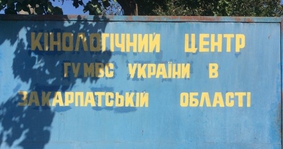 У Мукачеві відбудеться чемпіонат України серед кінологів – 04