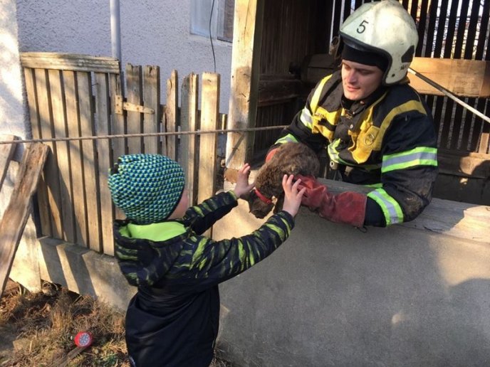 Сьогодні врятували котика, який впав у глибокий колодязь – 02 Сьогодні врятували котика, який впав у глибокий колодязь – 02